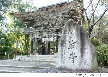 三井寺［園城寺］（滋賀県大津市） 28306106