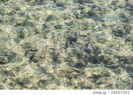 red sea background. water background. turquoise 28307301