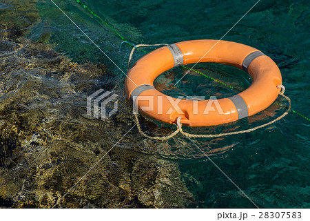 lifeline in the red sea near coral reef 28307583