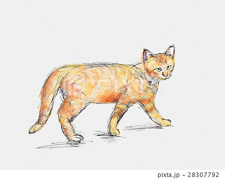 猫 イラスト 猫 イラスト 28307792