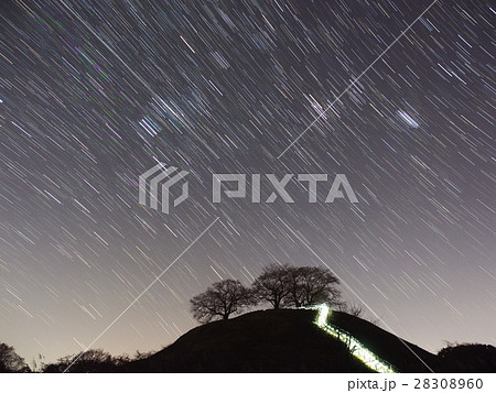 古墳公園の星空とひかる小路 28308960
