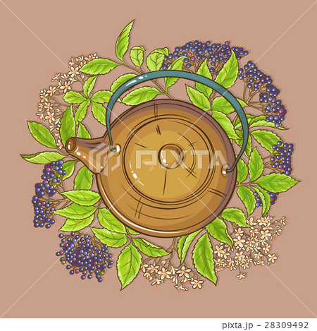 elderberry tea in teapot 28309492