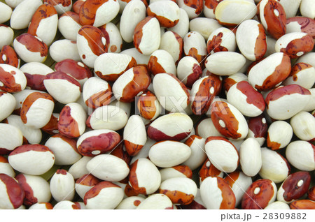 Brown and white pointed pinto beans background 28309882