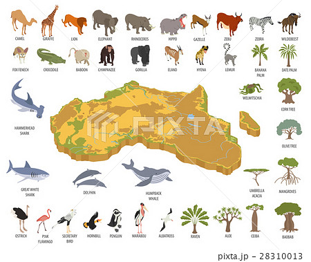 Flat 3d isometric Africa flora and fauna map  28310013