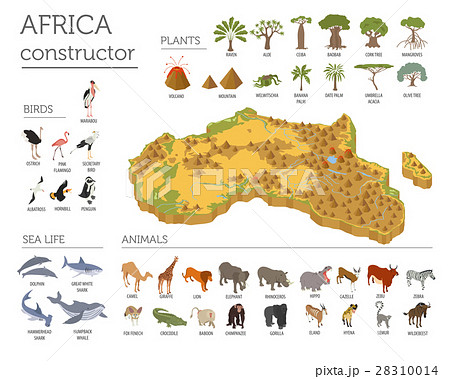 Flat 3d isometric Africa flora and fauna map  28310014
