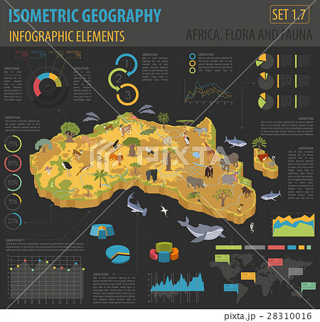 Flat 3d isometric Africa flora and fauna map Flat 3d isometric Africa flora and fauna map 28310016