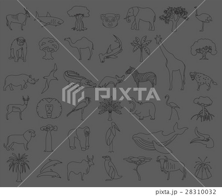 Thin line Africa flora and fauna elements 28310032