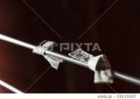 おみくじ結び所 28310307