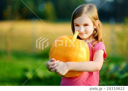 Cute little girl holding a pumpkin 28310622