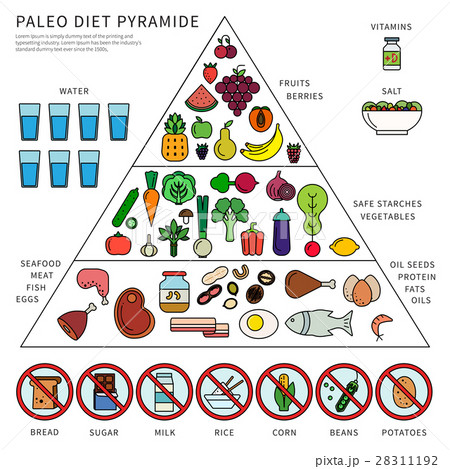 Paleo diet pyramid 28311192