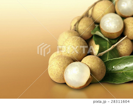 Longan on orange solid background 28311604