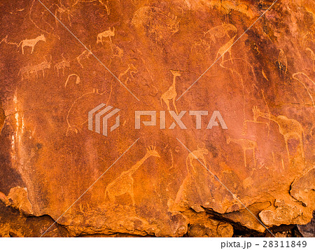 Bushman engravings in the granite rock Bushman engravings in the granite rock 28311849