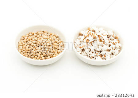ソルガム(ソーガム): Sorghum ソルガム(ソーガム): Sorghum 28312043