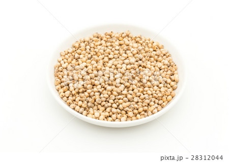 ソルガム(ソーガム): Sorghum ソルガム(ソーガム): Sorghum 28312044