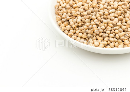 ソルガム(ソーガム): Sorghum ソルガム(ソーガム): Sorghum 28312045