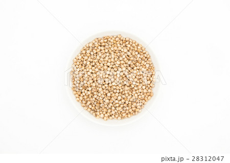 ソルガム（ソーガム）: Sorghum 28312047