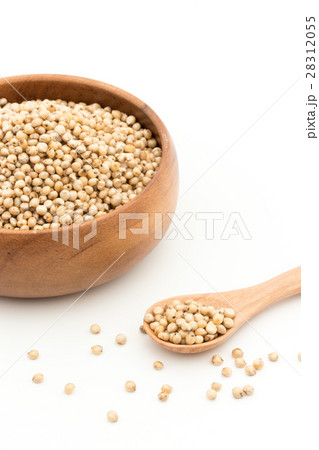 ソルガム(ソーガム): Sorghum ソルガム(ソーガム): Sorghum 28312055