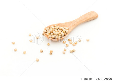 ソルガム(ソーガム): Sorghum ソルガム(ソーガム): Sorghum 28312056