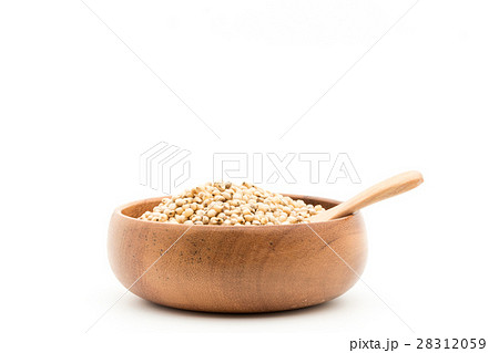 ソルガム(ソーガム): Sorghum ソルガム(ソーガム): Sorghum 28312059