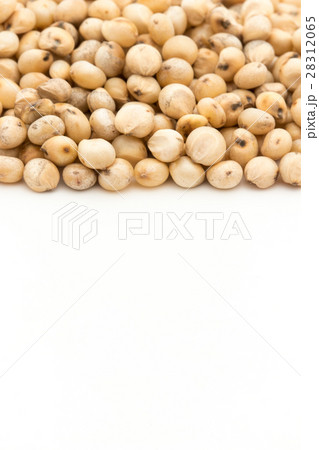 ソルガム(ソーガム): Sorghum ソルガム(ソーガム): Sorghum 28312065