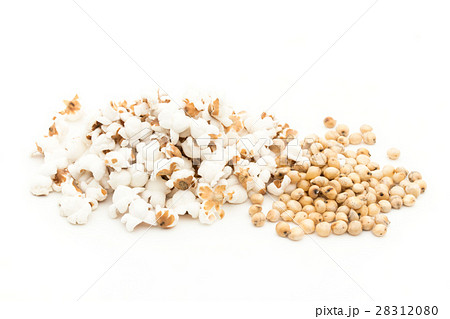 ソルガム(ソーガム): Sorghum ソルガム(ソーガム): Sorghum 28312080
