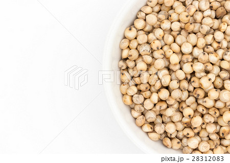 ソルガム(ソーガム): Sorghum ソルガム(ソーガム): Sorghum 28312083