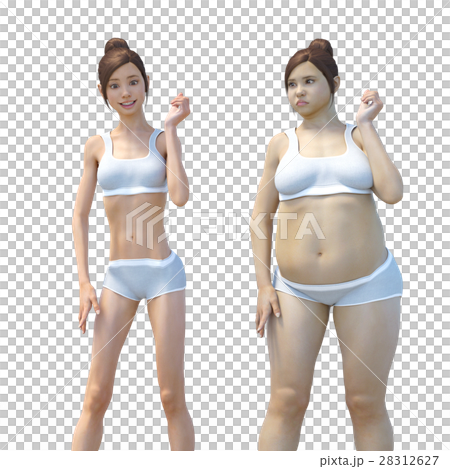 ダイエットイメージ　ビフォーアフター　perming3dCGイラスト素材 28312627