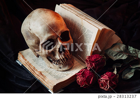 Still life with human skull Still life with human skull 28313237