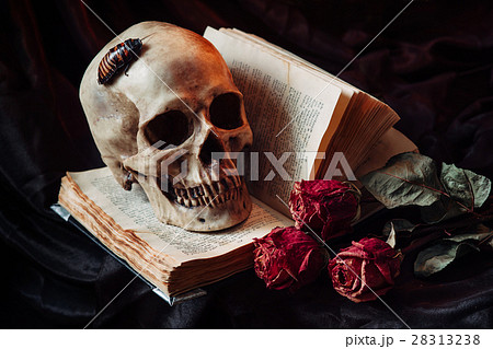 Gothic still life with skull Gothic still life with skull 28313238