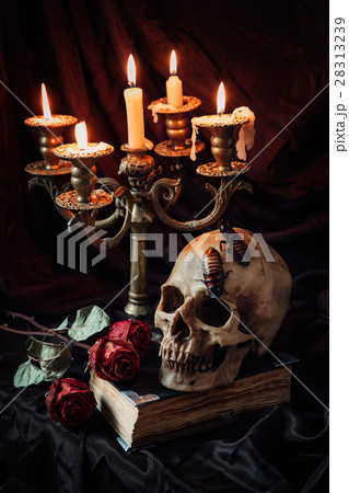 Gothic still life with skull 28313239