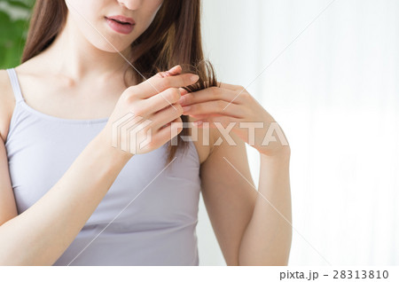 髪の枝毛を気にする若い20代女性 28313810