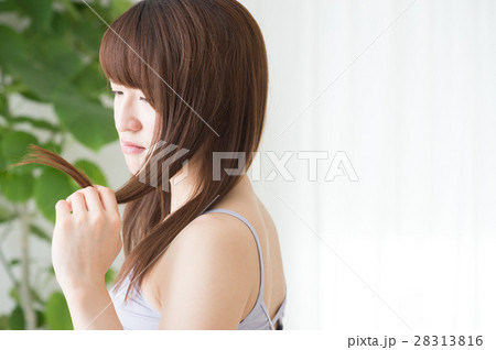 髪の枝毛を気にする若い20代女性 28313816