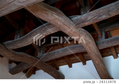彦根城の曲がり梁 28313876
