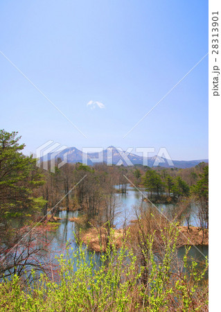 春の中瀬沼と磐梯山（裏磐梯） 28313901