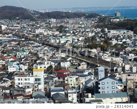 東海道線を下る踊り子号 28314045