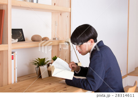 辞書を見る学生 28314611