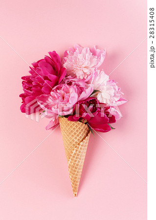 peony flowers in the waffle cone 28315408
