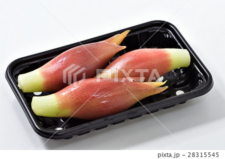 ミョウガ 28315545