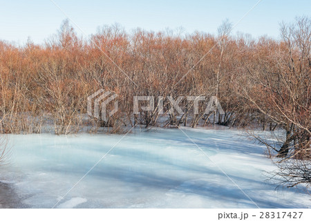 Ice on the river in the spring. 28317427