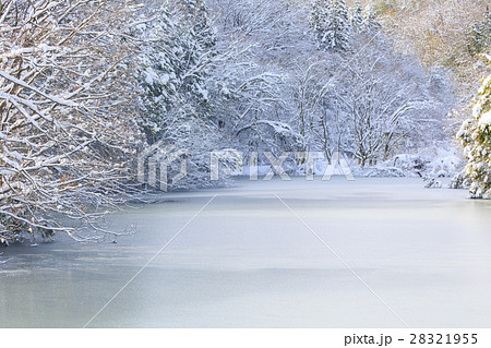 冬の溜池 28321955