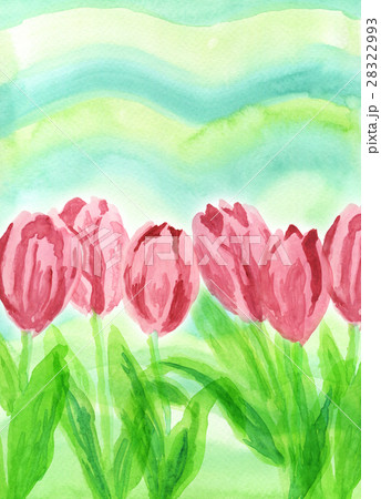 手描き水彩画でピンク色チューリップと緑の春らしい背景のイラスト素材