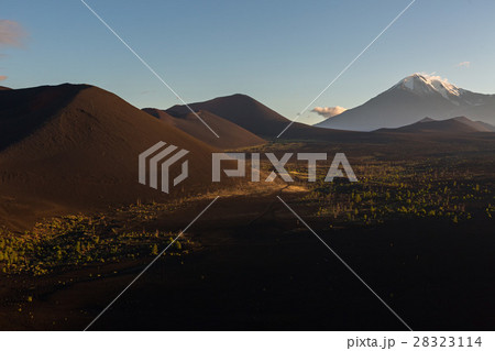 Volcanoes and Dead wood at dawn - consequence of Volcanoes and Dead wood at dawn - consequence of 28323114