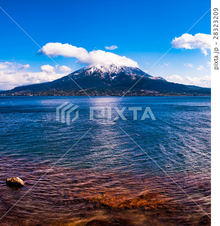 冠雪の桜島と錦江湾 28323209