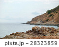 Rock cliff with view of the sea coastline 28323859