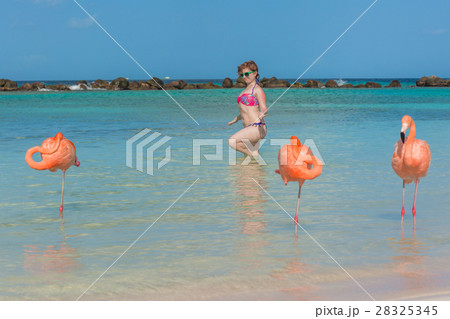 Flamingos beach. Aruba 28325345