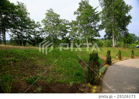北海道　大雪森のガーデン 28326173