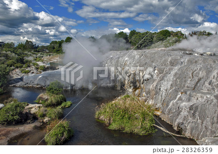 Whakarewarewa Geyser in Rotorua, New Zealand Whakarewarewa Geyser in Rotorua, New Zealand 28326359