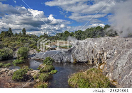 Whakarewarewa Geyser in Rotorua, New Zealand Whakarewarewa Geyser in Rotorua, New Zealand 28326361