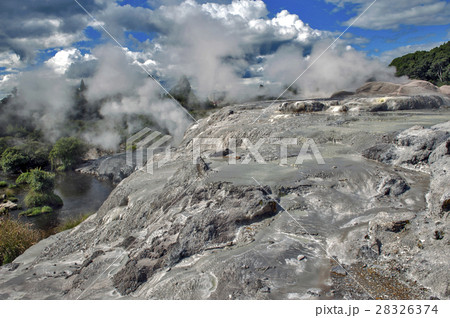 Whakarewarewa Geyser in Rotorua, New Zealand Whakarewarewa Geyser in Rotorua, New Zealand 28326374