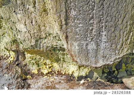 Whakarewarewa Geyser in Rotorua, New Zealand 28326388